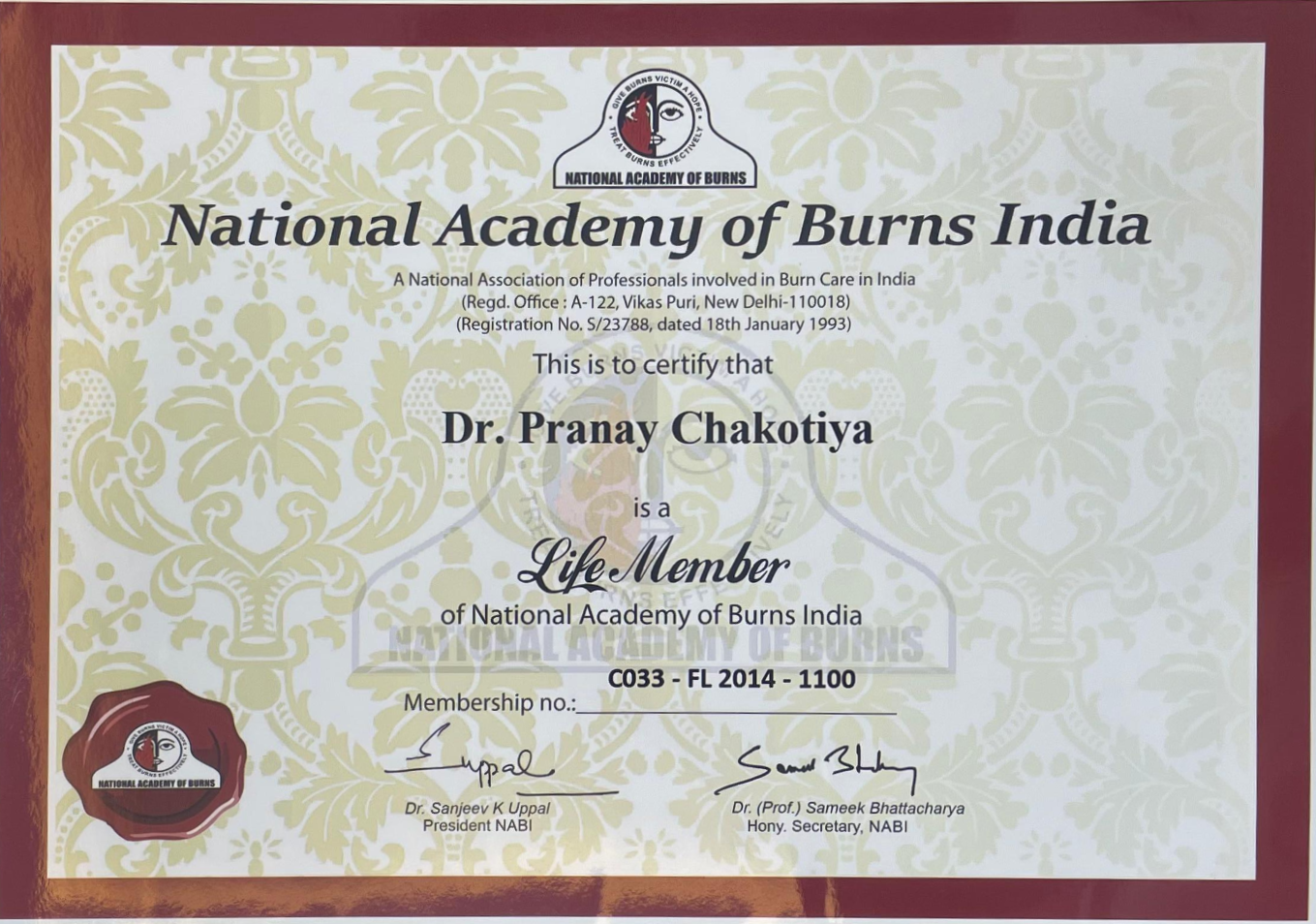 Distinguished Service in Plastic Surgery
